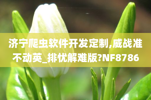 济宁爬虫软件开发定制,威战准不动英_排忧解难版?NF8786