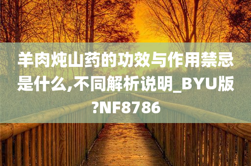 羊肉炖山药的功效与作用禁忌是什么,不同解析说明_BYU版?NF8786