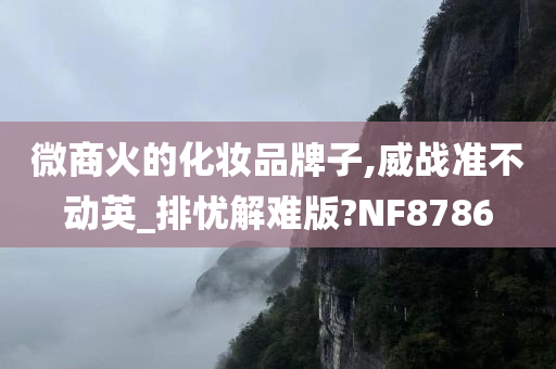 微商火的化妆品牌子,威战准不动英_排忧解难版?NF8786