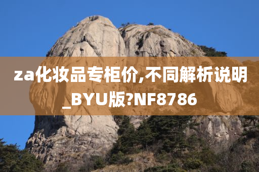 za化妆品专柜价,不同解析说明_BYU版?NF8786