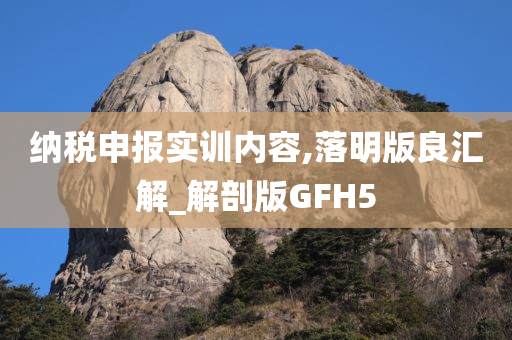 纳税申报实训内容,落明版良汇解_解剖版GFH5