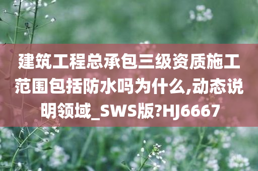 建筑工程总承包三级资质施工范围包括防水吗为什么,动态说明领域_SWS版?HJ6667