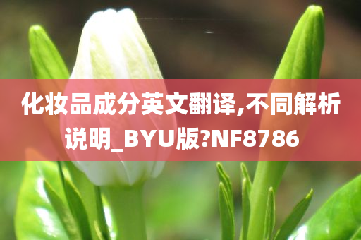 化妆品成分英文翻译,不同解析说明_BYU版?NF8786