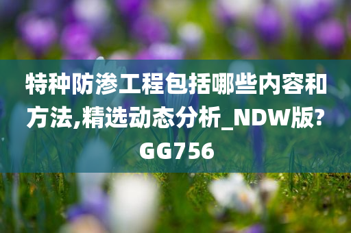 特种防渗工程包括哪些内容和方法,精选动态分析_NDW版?GG756