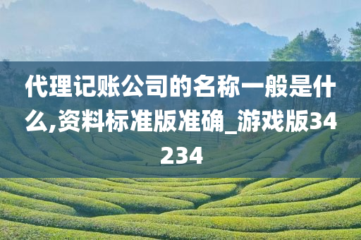 代理记账公司的名称一般是什么,资料标准版准确_游戏版34234