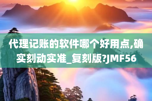 代理记账的软件哪个好用点,确实刻动实准_复刻版?JMF56