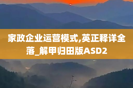 家政企业运营模式,英正释详全落_解甲归田版ASD2