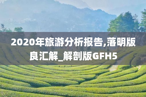 2020年旅游分析报告,落明版良汇解_解剖版GFH5