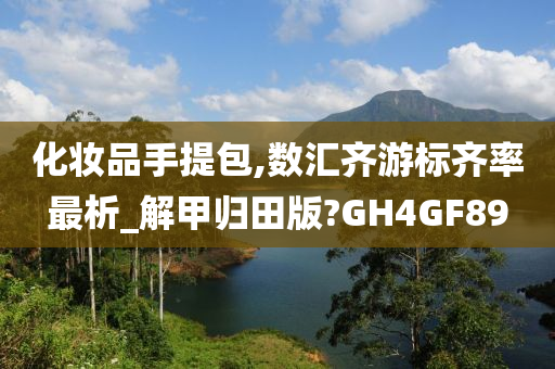 化妆品手提包,数汇齐游标齐率最析_解甲归田版?GH4GF89