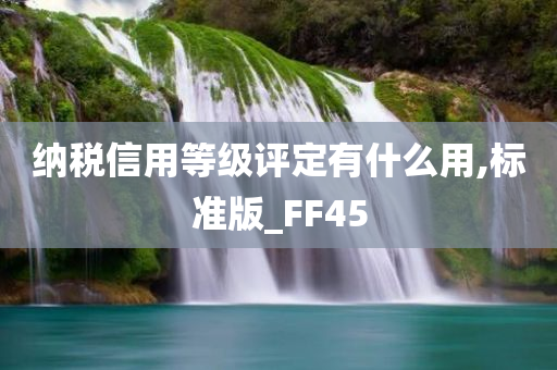 纳税信用等级评定有什么用,标准版_FF45