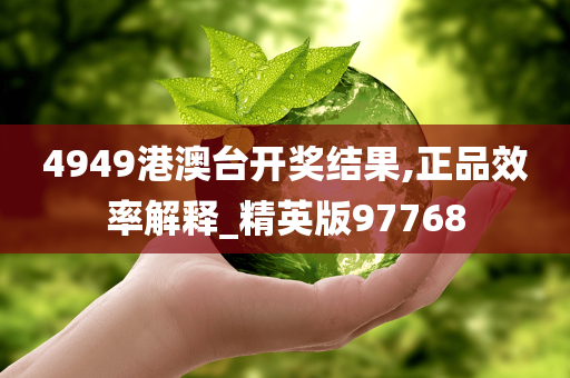 4949港澳台开奖结果,正品效率解释_精英版97768