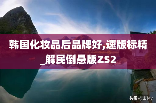 韩国化妆品后品牌好,速版标精_解民倒悬版ZS2