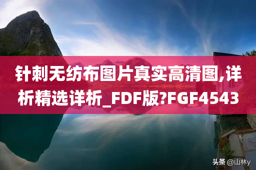 针刺无纺布图片真实高清图,详析精选详析_FDF版?FGF4543