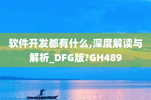 软件开发都有什么,深度解读与解析_DFG版?GH489