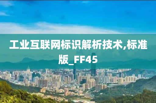 工业互联网标识解析技术,标准版_FF45