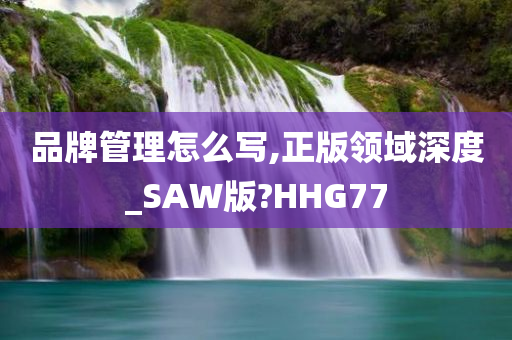 品牌管理怎么写,正版领域深度_SAW版?HHG77