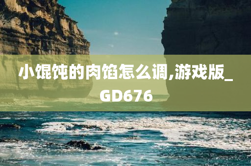 小馄饨的肉馅怎么调,游戏版_GD676