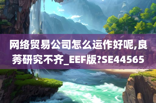 网络贸易公司怎么运作好呢,良莠研究不齐_EEF版?SE44565