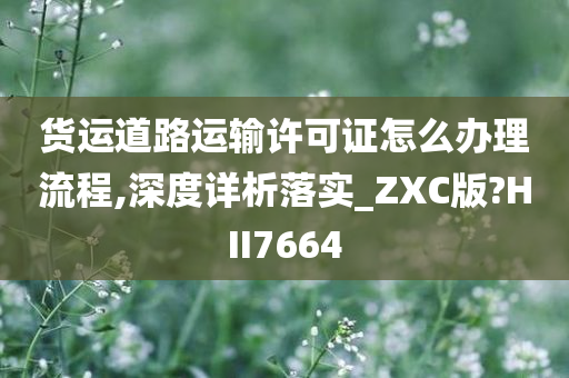 货运道路运输许可证怎么办理流程,深度详析落实_ZXC版?HII7664