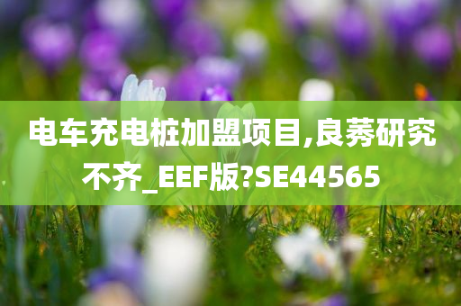 电车充电桩加盟项目,良莠研究不齐_EEF版?SE44565