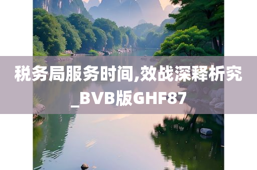 税务局服务时间,效战深释析究_BVB版GHF87