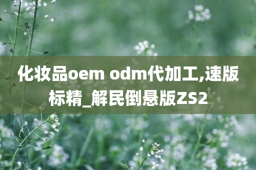 化妆品oem odm代加工,速版标精_解民倒悬版ZS2