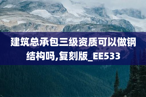 建筑总承包三级资质可以做钢结构吗,复刻版_EE533