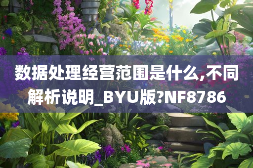 数据处理经营范围是什么,不同解析说明_BYU版?NF8786