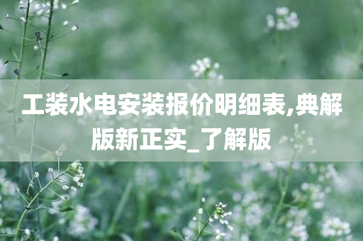 工装水电安装报价明细表,典解版新正实_了解版