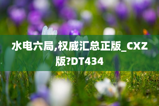 水电六局,权威汇总正版_CXZ版?DT434