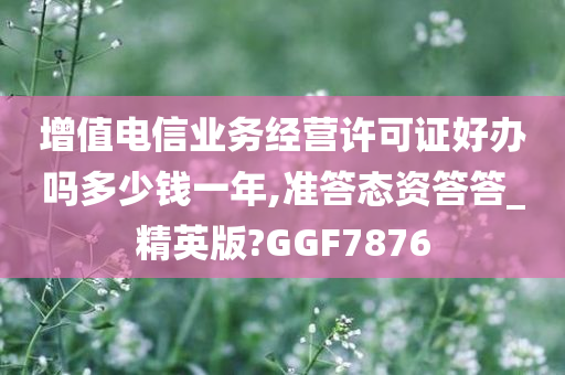 增值电信业务经营许可证好办吗多少钱一年,准答态资答答_精英版?GGF7876