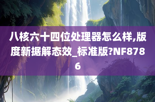 八核六十四位处理器怎么样,版度新据解态效_标准版?NF8786