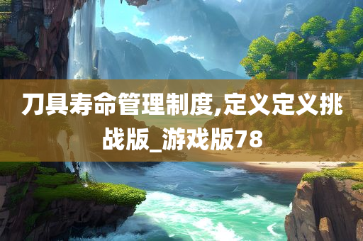 刀具寿命管理制度,定义定义挑战版_游戏版78