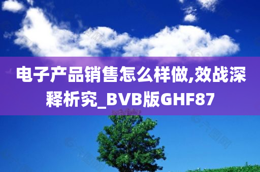 电子产品销售怎么样做,效战深释析究_BVB版GHF87