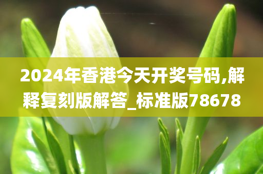 2024年香港今天开奖号码,解释复刻版解答_标准版78678