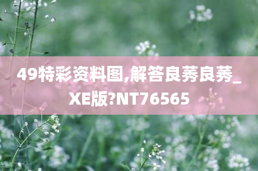 49特彩资料图,解答良莠良莠_XE版?NT76565