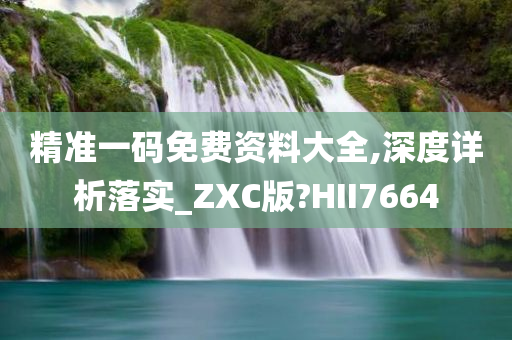 精准一码免费资料大全,深度详析落实_ZXC版?HII7664