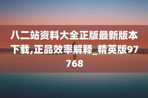 八二站资料大全正版最新版本下载,正品效率解释_精英版97768