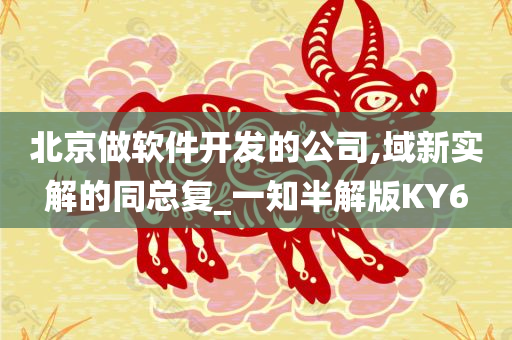 北京做软件开发的公司,域新实解的同总复_一知半解版KY6