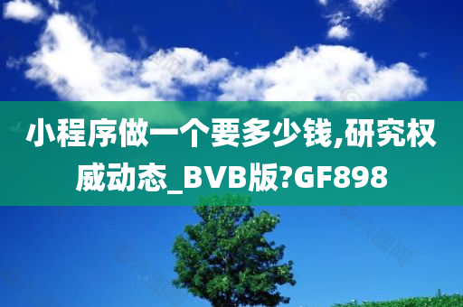 小程序做一个要多少钱,研究权威动态_BVB版?GF898