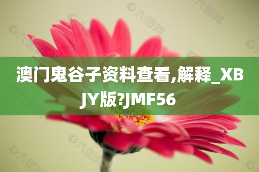 澳门鬼谷子资料查看,解释_XBJY版?JMF56