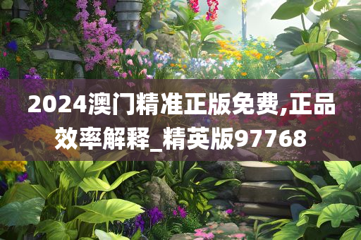 2024澳门精准正版免费,正品效率解释_精英版97768