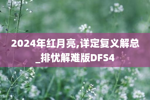 2024年红月亮,详定复义解总_排忧解难版DFS4