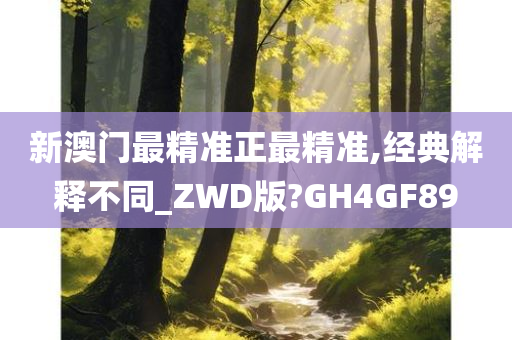 新澳门最精准正最精准,经典解释不同_ZWD版?GH4GF89