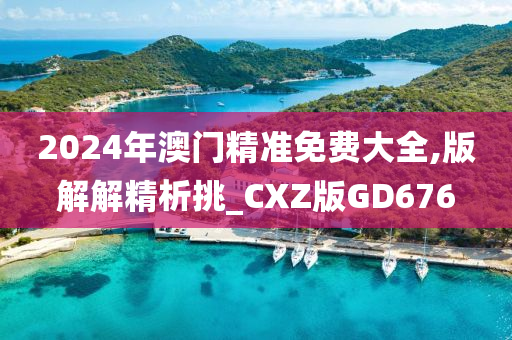 2024年澳门精准免费大全,版解解精析挑_CXZ版GD676