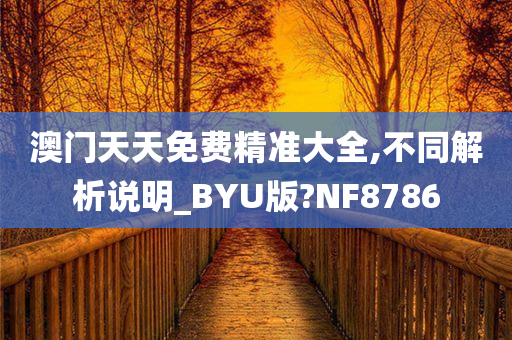 澳门天天免费精准大全,不同解析说明_BYU版?NF8786