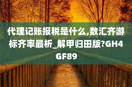 代理记账报税是什么,数汇齐游标齐率最析_解甲归田版?GH4GF89