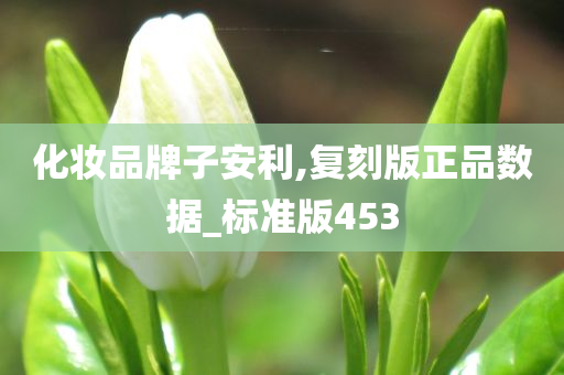 化妆品牌子安利,复刻版正品数据_标准版453