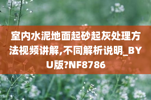 室内水泥地面起砂起灰处理方法视频讲解,不同解析说明_BYU版?NF8786