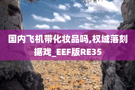 国内飞机带化妆品吗,权域落刻据戏_EEF版RE35